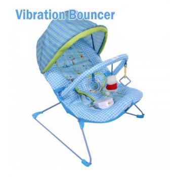 Carters Butterfly Fun Vibration Bouncer